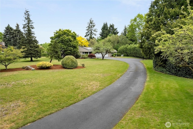 11411 Clovercrest Dr SW, Lakewood, WA 98499 - view of property's community featuring a yard and driveway