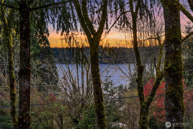 5310 W Mercer Way, Mercer Island, WA 98040 - water view