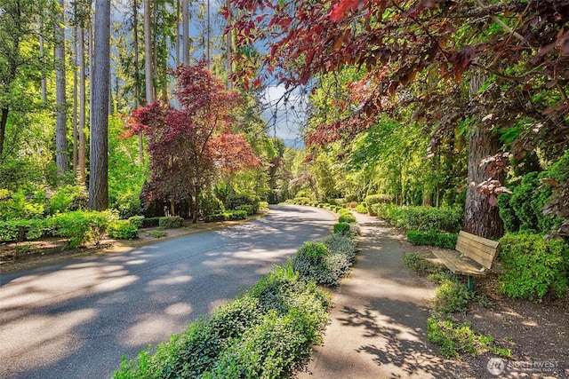 view of community with a forest view and driveway