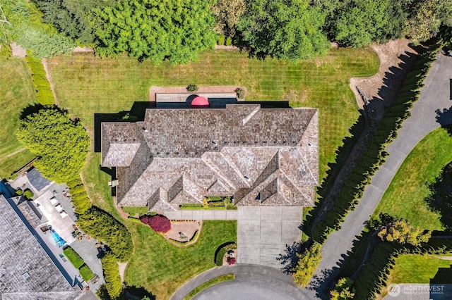 bird's eye view