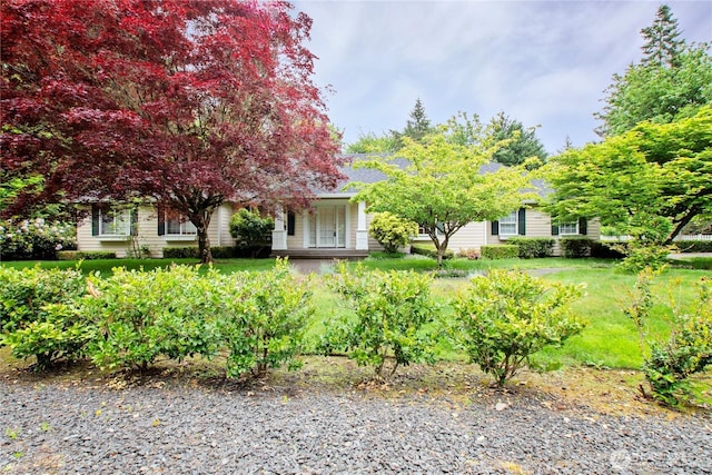 2222 60th Ln NW, Olympia, WA 98502 - view of yard