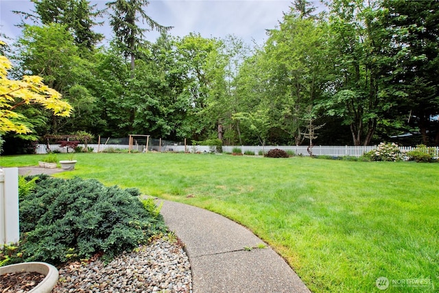 2222 60th Ln NW, Olympia, WA 98502 - view of yard