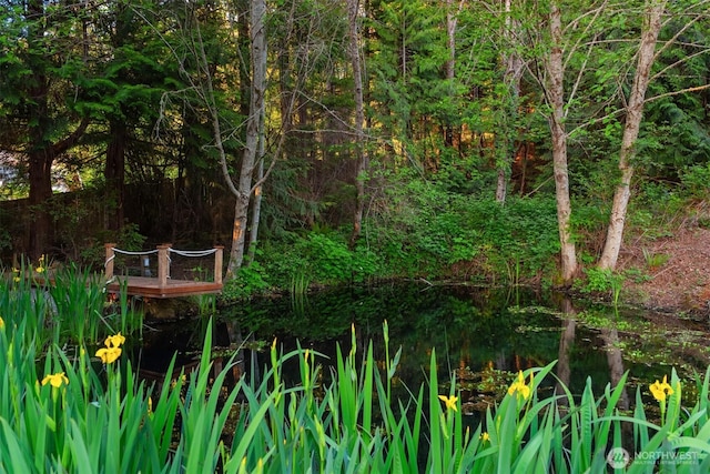 21402 S Herron Rd NW, Lakebay, WA 98349 - view of local wilderness