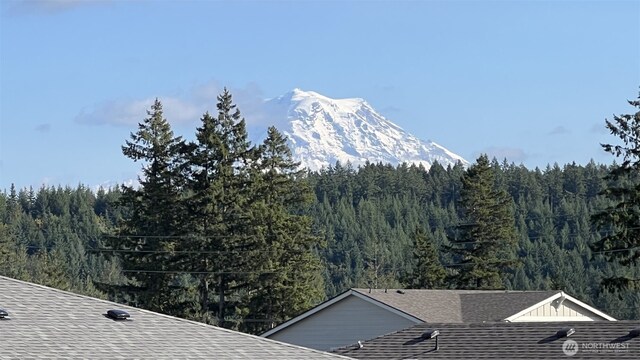 12713 176th Ave E, Bonney Lake, WA 98391 - view of mountain background featuring a forest