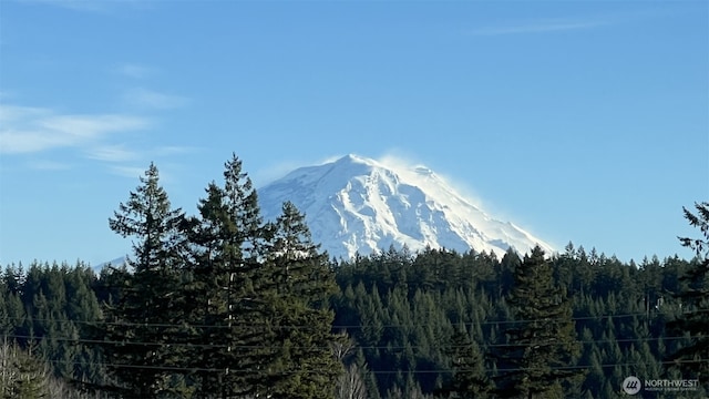 12713 176th Ave E, Bonney Lake, WA 98391 - mountain view featuring a forest