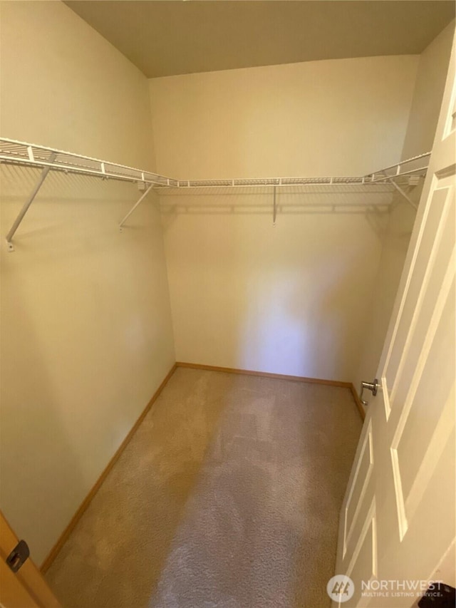 spacious closet with carpet flooring