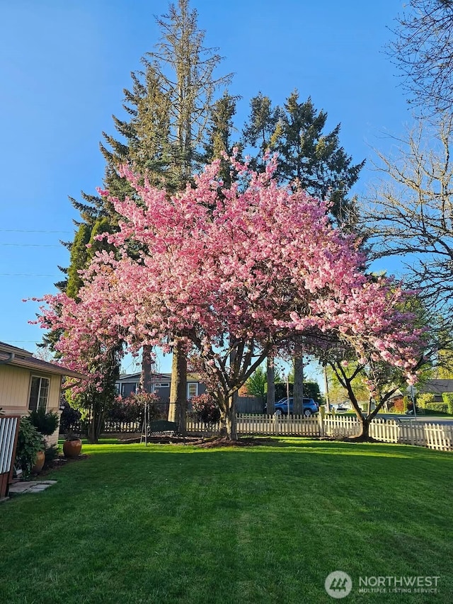 423 3rd Ave NW, Chehalis, WA 98532 - view of yard