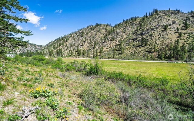 4482 Navarre Coulee Rd, Chelan, WA 98816 - photo 31