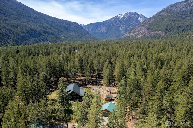 mountain view with a heavily wooded area