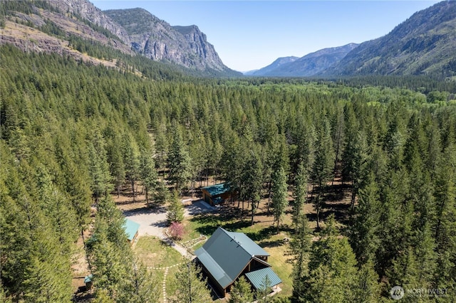 drone / aerial view of a forest and a mountain backdrop