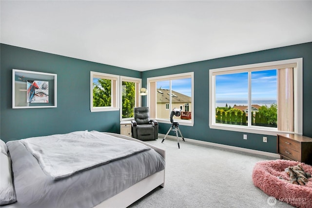 carpeted bedroom with multiple windows and baseboards