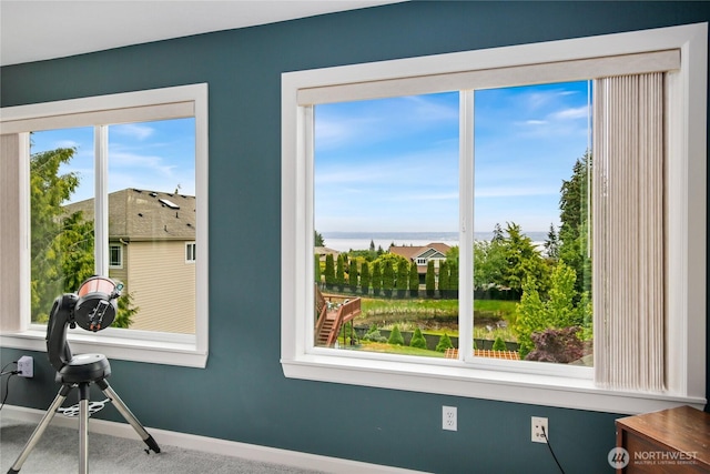 detailed view of carpet and baseboards