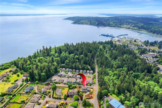 drone / aerial view of a forest and a nearby body of water