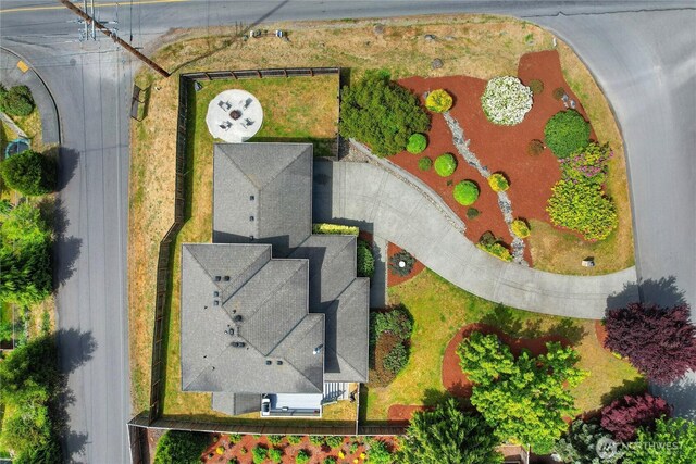 bird's eye view