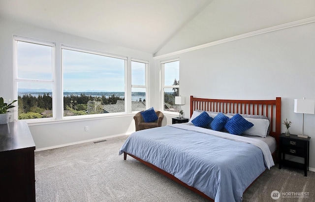 4638 Tanner View Dr, Clinton, WA 98236 - carpeted bedroom featuring lofted ceiling, baseboards, and a water view