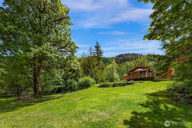 846 Deep Valley Dr, Maple Falls, WA 98266 - view of green lawn featuring a deck and a wooded view