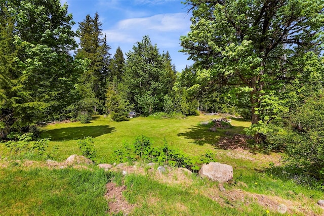 846 Deep Valley Dr, Maple Falls, WA 98266 - view of green lawn featuring a forest view