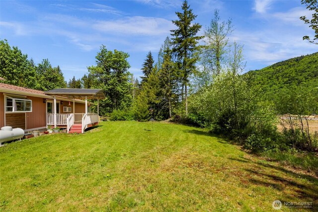 846 Deep Valley Dr, Maple Falls, WA 98266 - view of green lawn