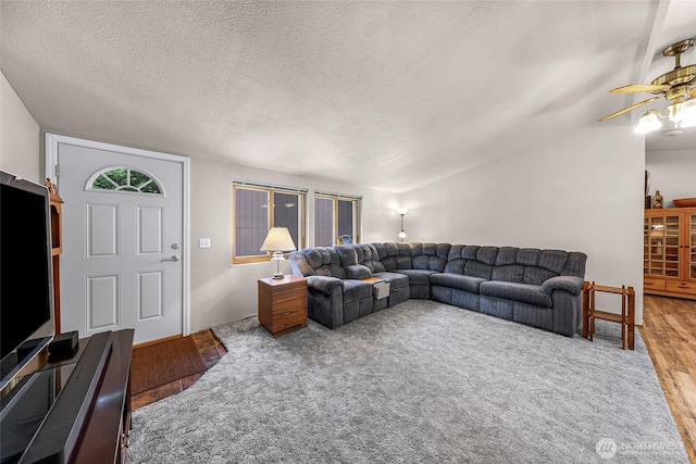 846 Deep Valley Dr, Maple Falls, WA 98266 - living room with a ceiling fan, a textured ceiling, and carpet