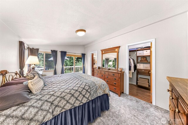 846 Deep Valley Dr, Maple Falls, WA 98266 - bedroom with light carpet, a textured ceiling, access to exterior, a spacious closet, and a closet