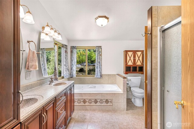 846 Deep Valley Dr, Maple Falls, WA 98266 - bathroom with tile patterned floors, toilet, a garden tub, double vanity, and a stall shower