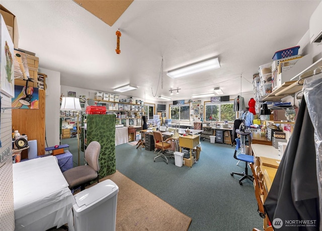 846 Deep Valley Dr, Maple Falls, WA 98266 - miscellaneous room with carpet flooring and a textured ceiling