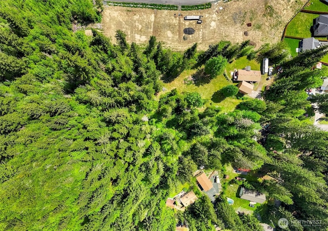 846 Deep Valley Dr, Maple Falls, WA 98266 - bird's eye view
