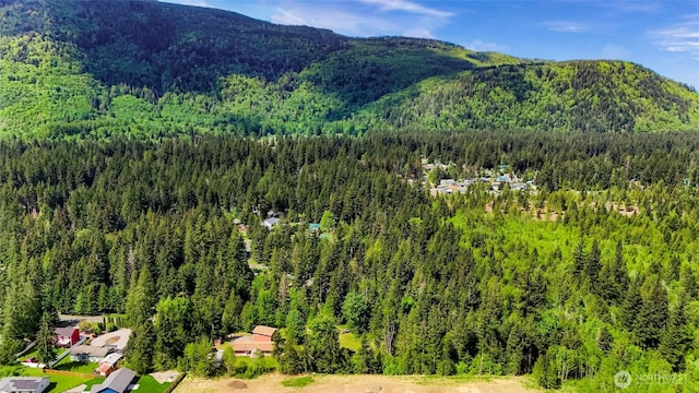 846 Deep Valley Dr, Maple Falls, WA 98266 - view of mountain background featuring a heavily wooded area