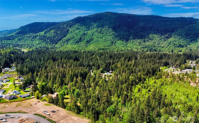846 Deep Valley Dr, Maple Falls, WA 98266 - view of mountain background with a forest