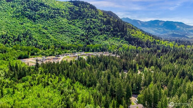 846 Deep Valley Dr, Maple Falls, WA 98266 - view of mountain backdrop with a forest