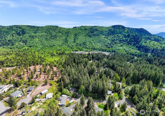 846 Deep Valley Dr, Maple Falls, WA 98266 - aerial view of a forest and a mountain backdrop