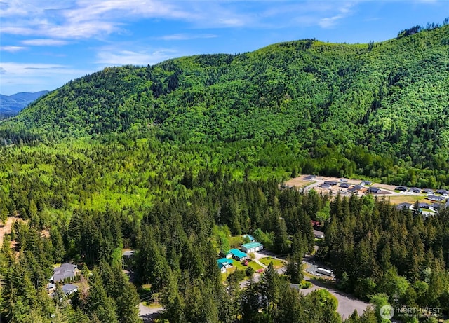 846 Deep Valley Dr, Maple Falls, WA 98266 - aerial view of property's location featuring a heavily wooded area and a mountain backdrop