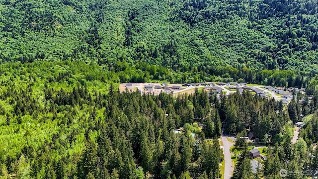 846 Deep Valley Dr, Maple Falls, WA 98266 - aerial overview of property's location with a forest
