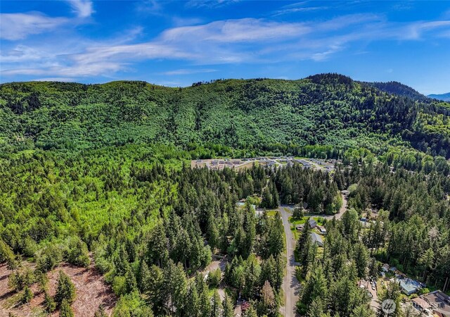 846 Deep Valley Dr, Maple Falls, WA 98266 - drone / aerial view of a heavily wooded area and mountains