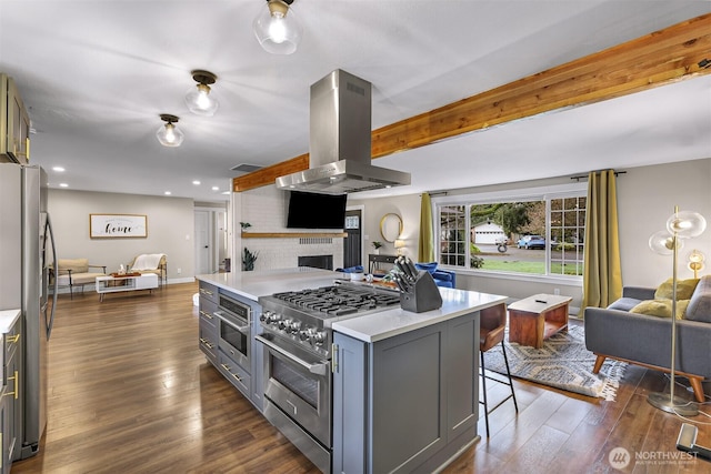 321 Park Pl, Lynden, WA 98264 - kitchen with open floor plan, island range hood, appliances with stainless steel finishes, gray cabinets, and recessed lighting
