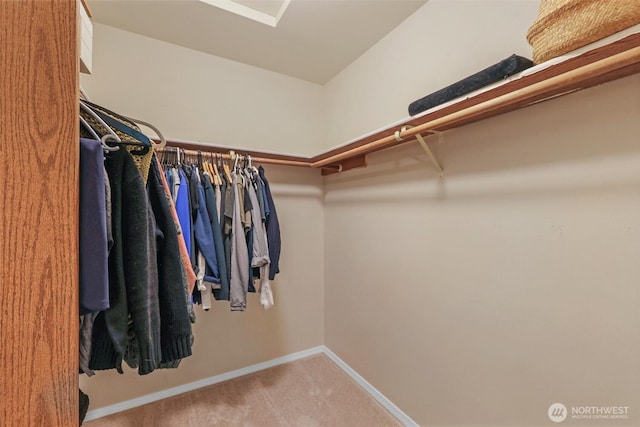 spacious closet with carpet