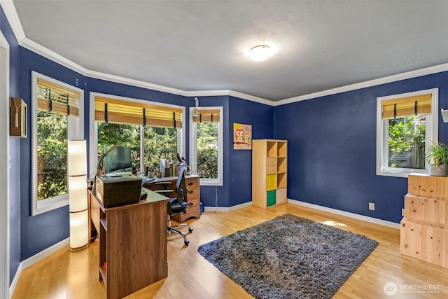 office with healthy amount of natural light, wood finished floors, baseboards, and ornamental molding