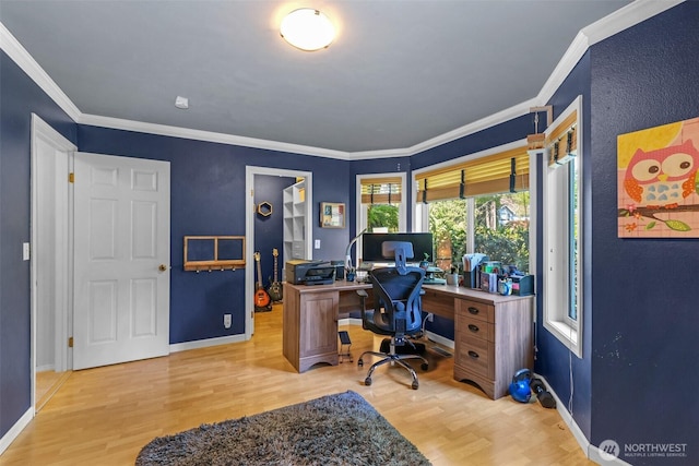 office featuring wood finished floors, ornamental molding, and baseboards