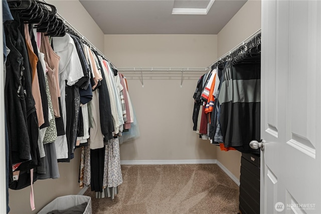 3677 SE Chesterton Dr, Port Orchard, WA 98366 - walk in closet with carpet flooring