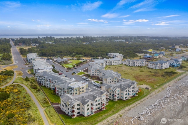 bird's eye view