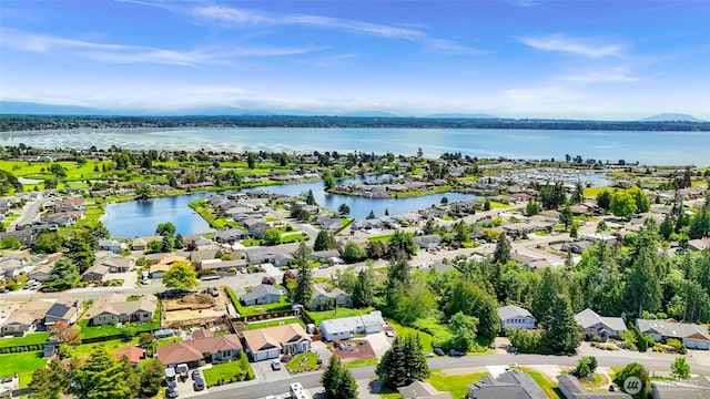 8224 Quinault Rd, Blaine, WA 98230 - aerial view of residential area with a large body of water