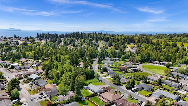 8224 Quinault Rd, Blaine, WA 98230 - aerial view of residential area