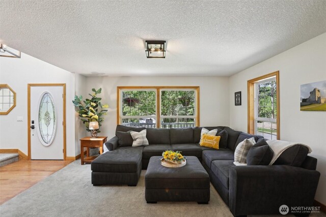 15513 NE Beebe Rd, Battle Ground, WA 98604 - living area featuring a textured ceiling, carpet floors, and wood finished floors