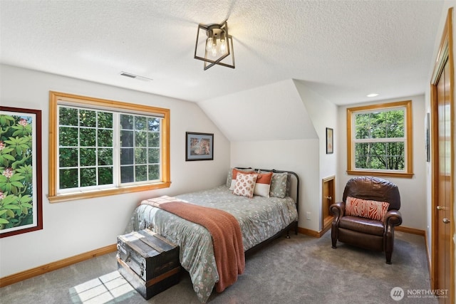 15513 NE Beebe Rd, Battle Ground, WA 98604 - bedroom with carpet flooring, multiple windows, a textured ceiling, baseboards, and vaulted ceiling