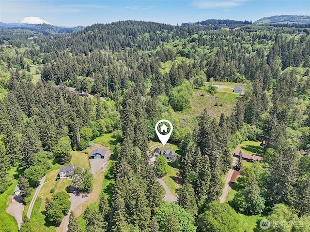 15513 NE Beebe Rd, Battle Ground, WA 98604 - view of property location featuring a heavily wooded area and mountains