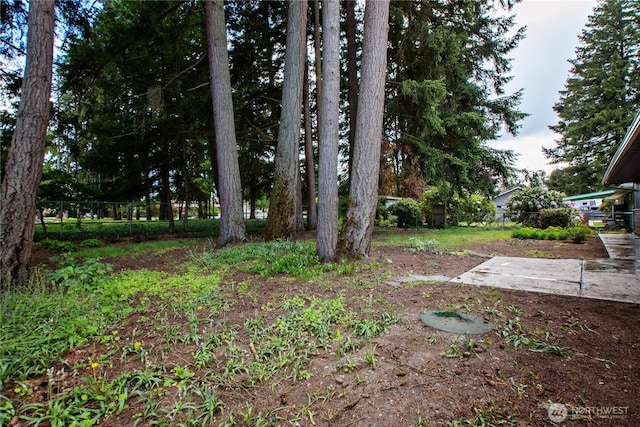 5015 15th Ave SE, Lacey, WA 98503 - view of yard with fence