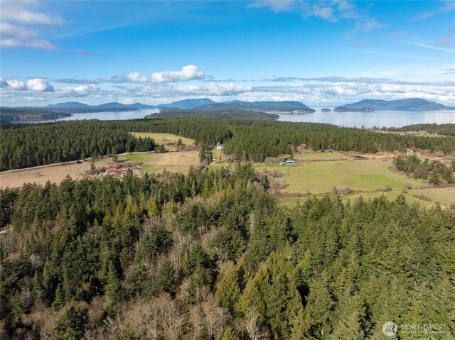 4722 Mud Bay Rd, Lopez Island, WA 98261 - photo 4