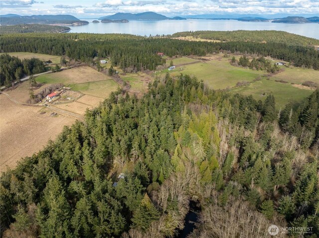 4722 Mud Bay Rd, Lopez Island, WA 98261 - photo 8