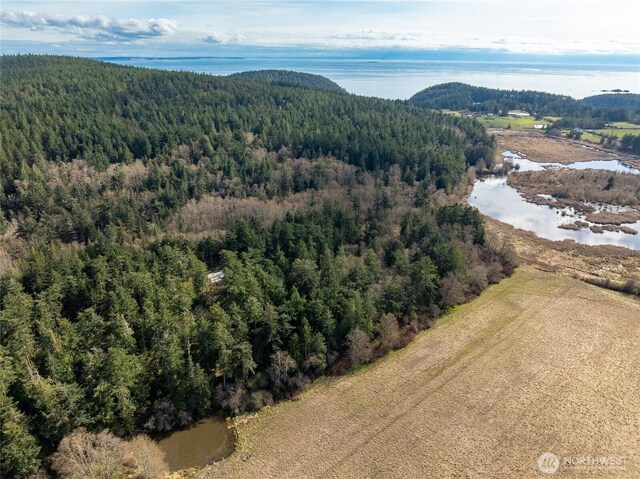 4722 Mud Bay Rd, Lopez Island, WA 98261 - photo 9