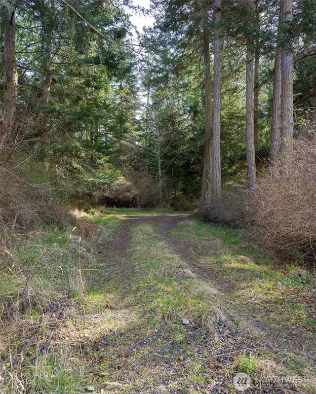 4722 Mud Bay Rd, Lopez Island, WA 98261 - photo 10